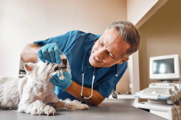 Best Mobile Emergency Dentist in Hugoton, KS